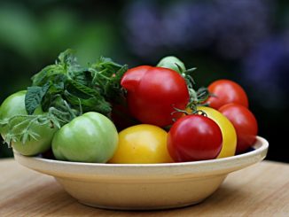 Jak zužitkovat zelená rajčata ze zahrady