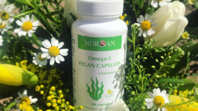 Vegan omega 3 představují skvělou alternativu k běžným živočišným zdrojům omega 3.